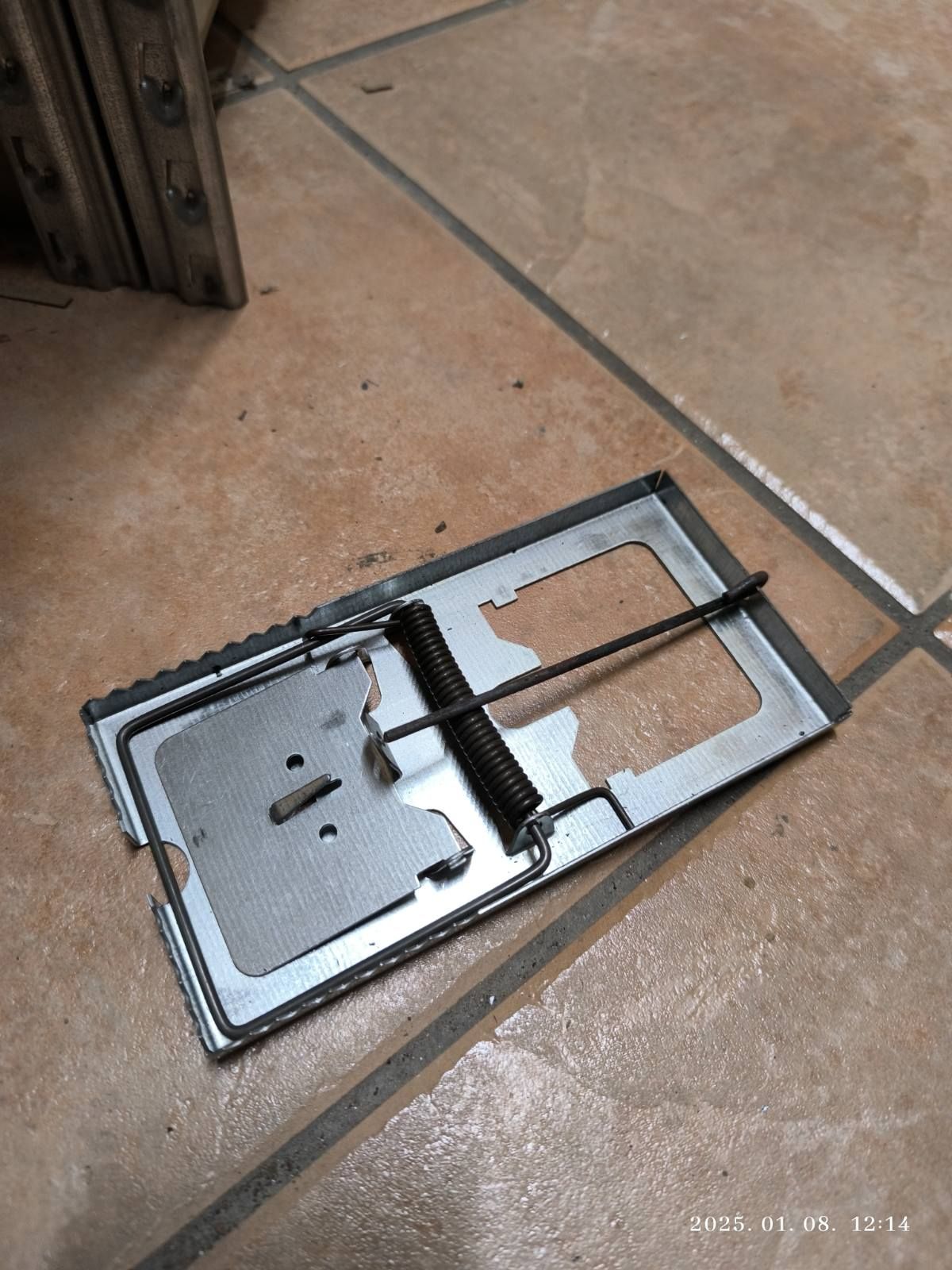 Patkányfogó hagyományos fém termék fő termékképe